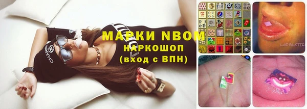 ПСИЛОЦИБИНОВЫЕ ГРИБЫ Алзамай