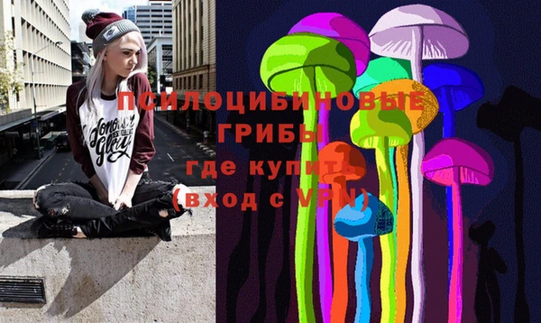 spice Алексин