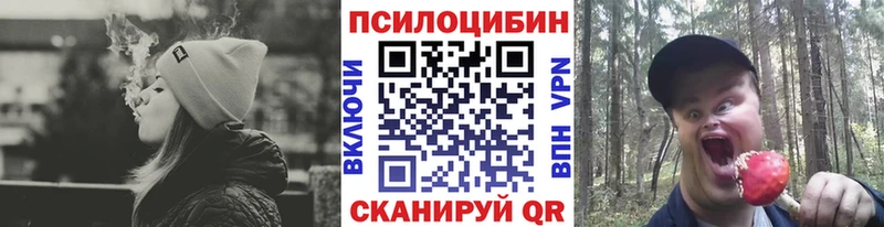Галлюциногенные грибы Cubensis Жуковский