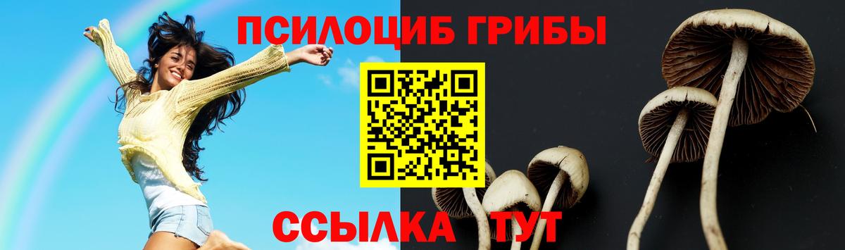 Галлюциногенные грибы прущие грибы  Вход с VPN  Жуковский  Галлюциногенные грибы мицелий 